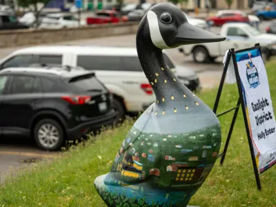 A large, hand-painted Cambridge Goose sculpture decorated with a nighttime town scene stands on grass near parked cars, beside a ‘Goose on the Grand – Gaslight District’ event sign.