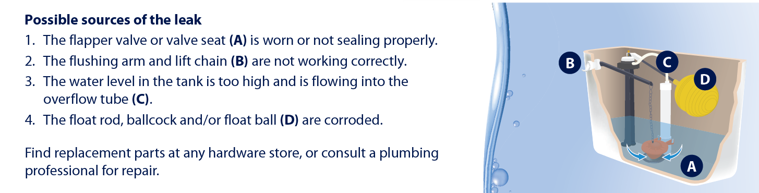 sources of leaks in toilet with image of toilet parts