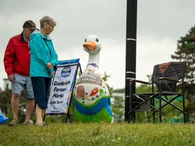 A large, hand-painted Cambridge Goose sculpture featuring fruits, vegetables, and a ‘Cambridge Farmers’ Market’ design stands on a grassy hill beside a Goose on the Grand event sign, as two people look at the display.