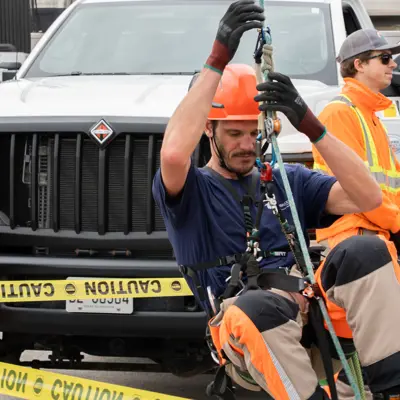 Forestry employee harness and climbing demonstration at ground level